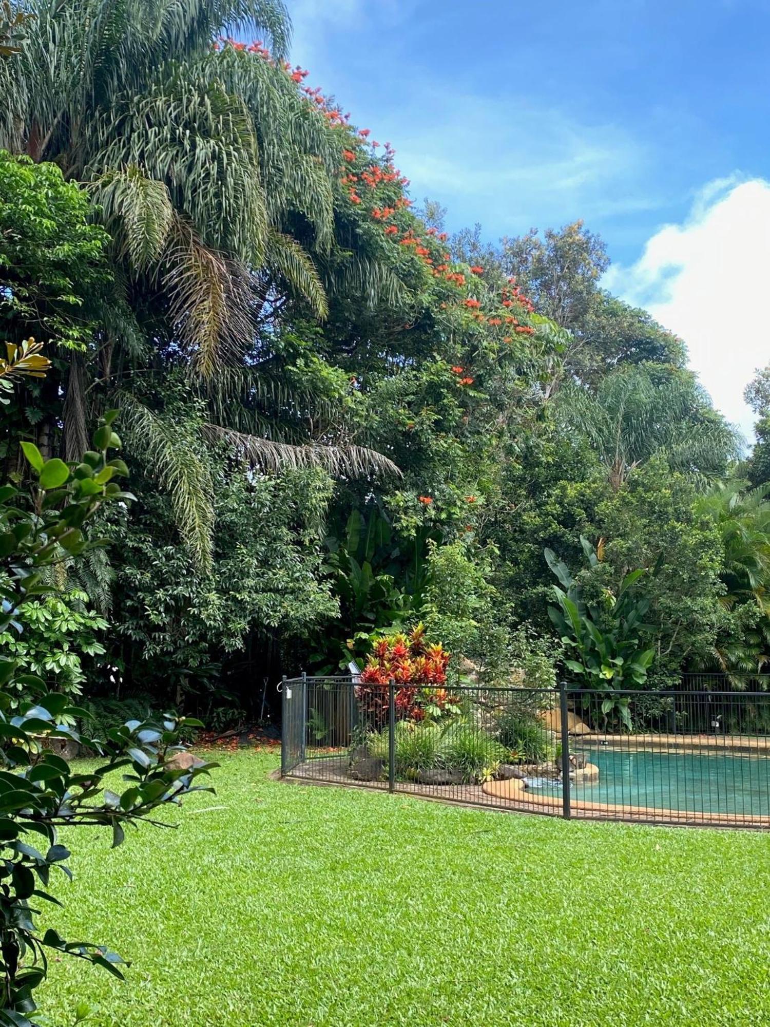 Malanda Lodge エクステリア 写真